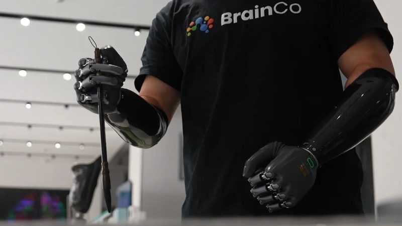 企业搜索系统：价格背后的考量因素