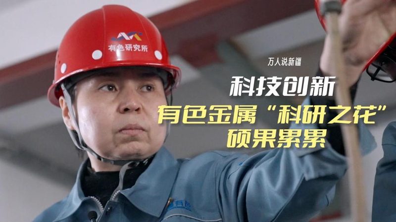 国产ERP系统：揭秘其优势与挑战